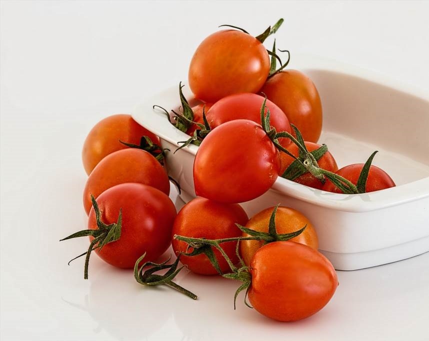 jak podwiązywać pomidory w tunelu